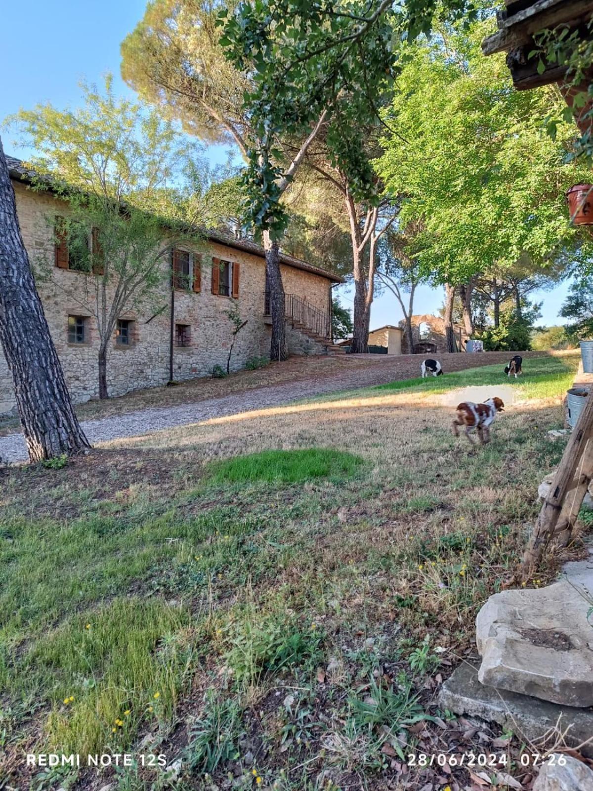Appartement La Casa Dei Breton à Magione Extérieur photo