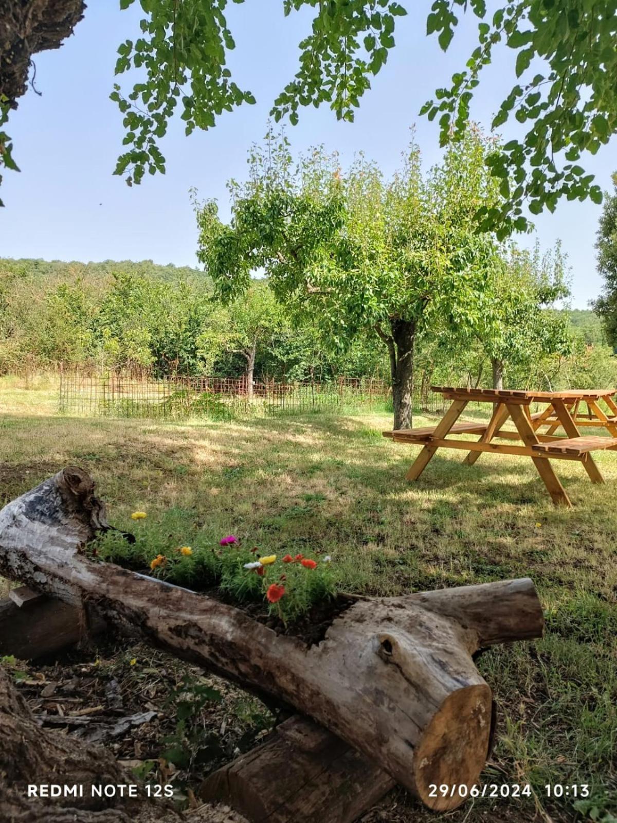 Appartement La Casa Dei Breton à Magione Extérieur photo