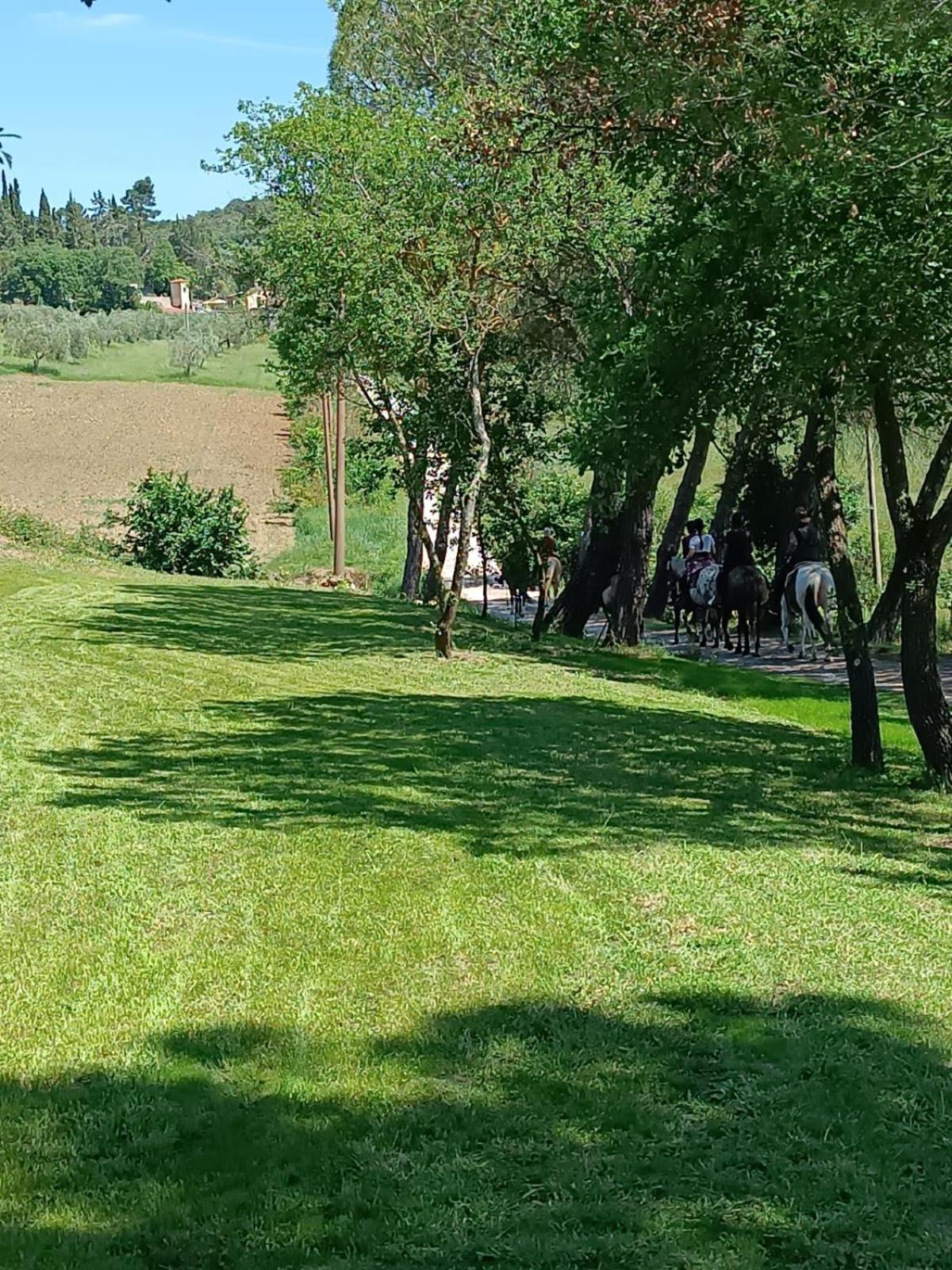 Appartement La Casa Dei Breton à Magione Extérieur photo